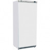 Armoire 1 porte 600 lt laquée blanc froid negatif